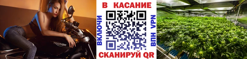 Купить Шахунья Амфетамин  Меф мяу мяу  Cocaine  КЕТАМИН  Альфа ПВП 
