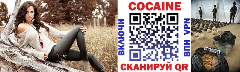 сколько стоит  МЕГА зеркало  Кокаин Fish Scale  Шахунья 