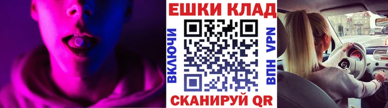 мега tor  Шахунья  Ecstasy 99% 