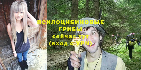 альфа пвп Анива