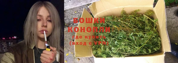 бошки Нея