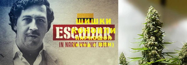 бошки Нея