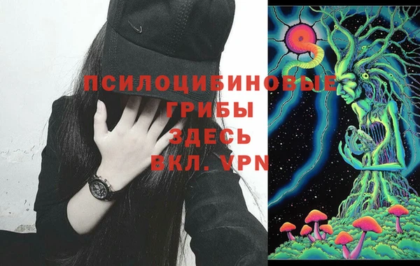 бошки Нея