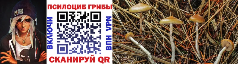 Псилоцибиновые грибы ЛСД  mega ONION  Шахунья 